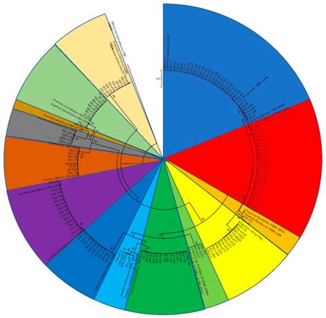 Fusarium Species Associated with Maize Leaf Blight in Heilongjiang ...