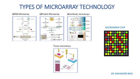 Microarray Machine 的图像结果