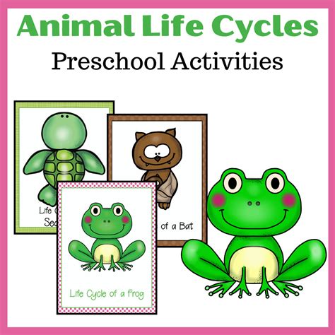 Animal Life Cycle Grade 4 at Julia Bowman blog