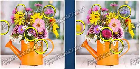 Differences Level 26 的图像结果