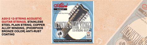 Alice A2012 12-String Acoustic Guitar Strings, Stainless Steel Plain ...
