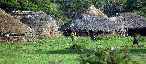 Mijikenda Tribes: Kenya’s Sacred Kaya Forests and Traditional Jurisprudence