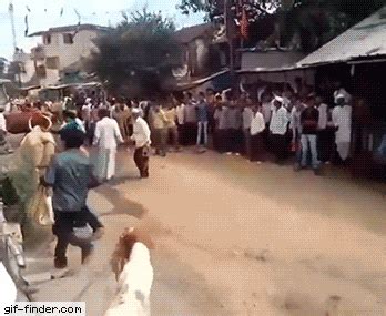 Bull jumps straight over an unsuspecting man - Find and Share Funny ...