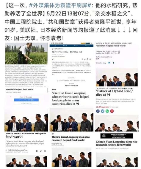 外国媒体眼中的袁隆平，和那些年他所获的国际殊荣-荆楚网-湖北日报网