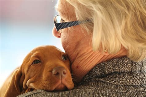 5 Ways Keeping Pets Will Help Your Health