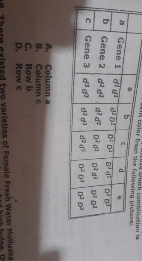 the d and D alleles are used for lighter and darker skin colour in ...