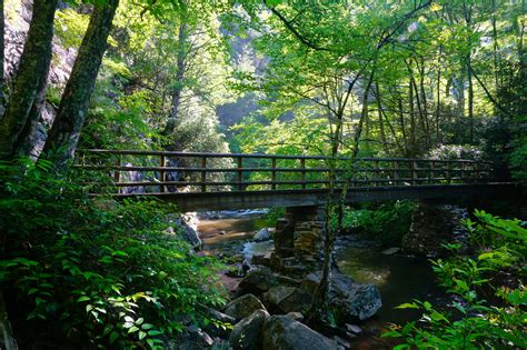 Hamblen County Sheriff's... - Hamblen County Sheriff's Office