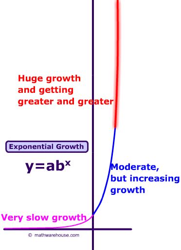 Exponential Growth Form 的图像结果