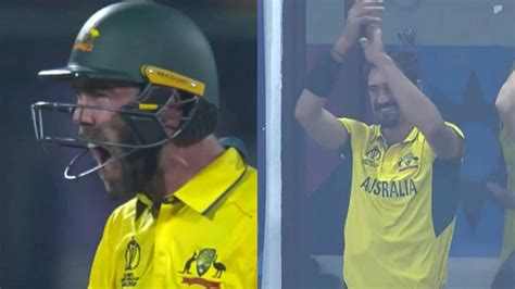 [Watch] Glenn Maxwell pumped up after completing 100 off just 40 balls ...