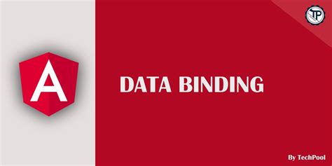 Image result for Angular Data Types Examples for Beginners