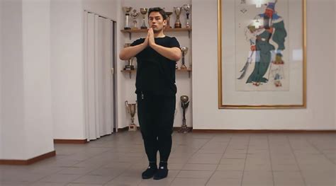 Image result for Kung Fu Tutorial