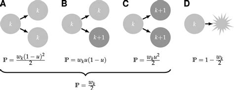 Image result for Branching Process Examples Find MU
