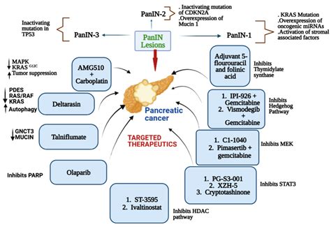 Pancreatic Cancer Genetic