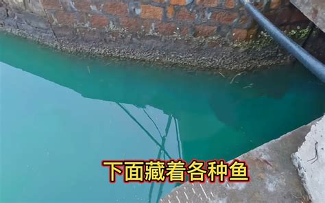 天津市著名水闸（四） - 海河下游管理局网