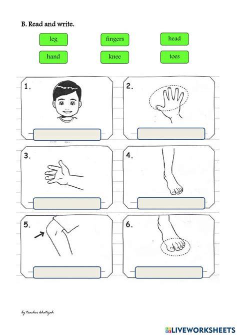 Worksheet for Introduction to Robot 的图像结果