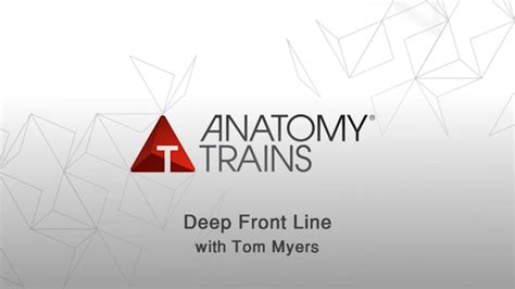 Image result for Anatomic Front Line