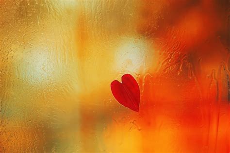Heart shaped leaf on wet glass | Premium Photo