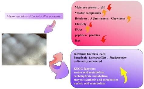 Dynamic Changes in Physicochemical Properties and Microbial Diversity ...