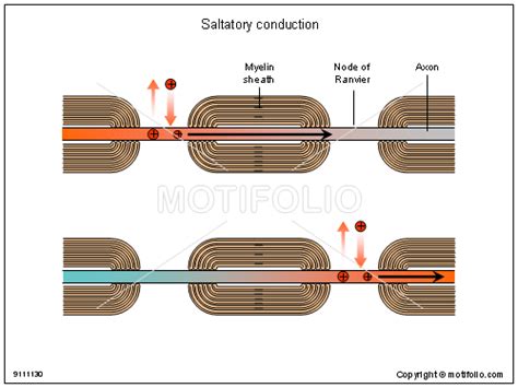 Image result for Conduction Drawing