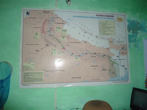 Narora Barrage, fish ladder, Ganga and memories – SANDRP