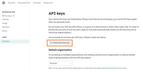 Where to Put API Key Openai Python 的图像结果