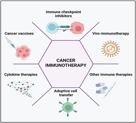 https://www.mdpi.com/cancers/cancers-15-02721/article_deploy/html/images/cancers-15-02721-g004-550.jpg