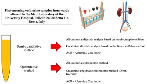 Urine Dipstick Analysis on Automated Platforms: Is a Reliable Screening ...