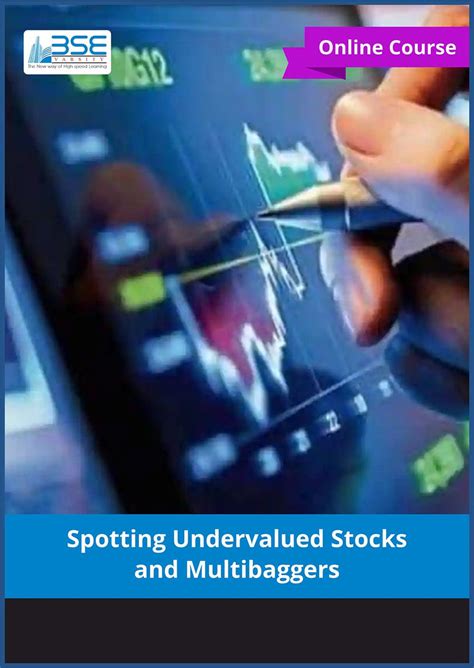 Spotting Undervalued Stocks and Multibaggers | Online Course ...