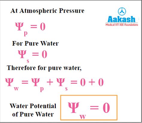 Plant Water Relations: Water Potential, Solute Potential, Pressure ...