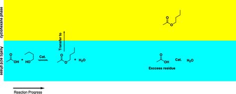 Continuous Extraction Method 的图像结果