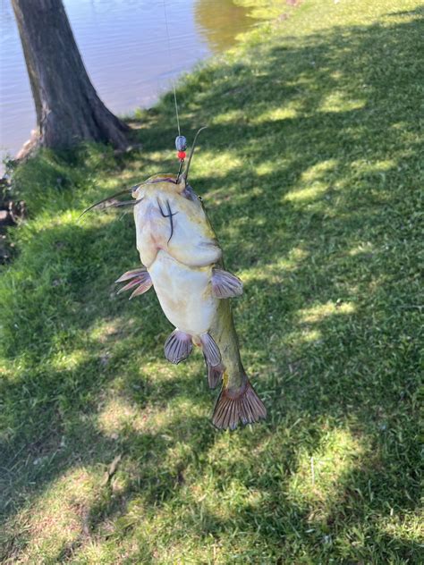 Wild Horse Park | Oklahoma Department of Wildlife Conservation