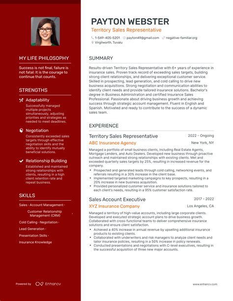 3 Successful Territory Sales Representative Resume Examples And Writing Tips for 2024