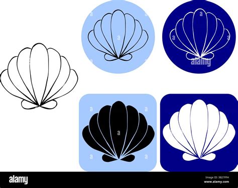 Image result for Paper Shell Banner