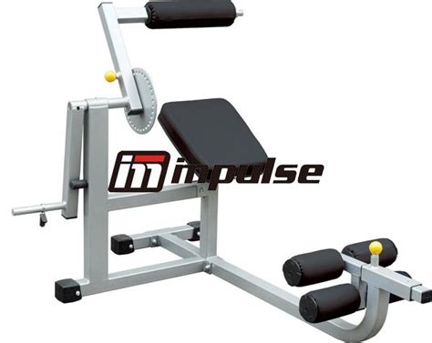 Image result for Exercise Machine for Back Pain