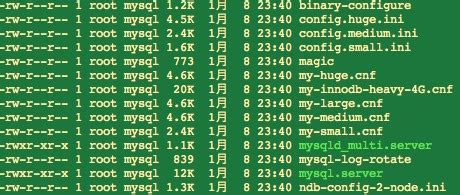 MySQL Config File 的图像结果