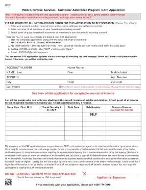 Cap Program Application Form 的图像结果