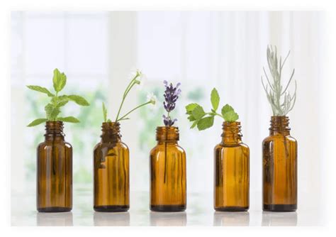 Good Smell Business Suit 的图像结果