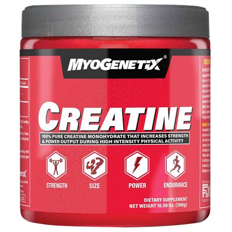 Myogenetix Creatine Monohydrate, 300 g – Nutrigize