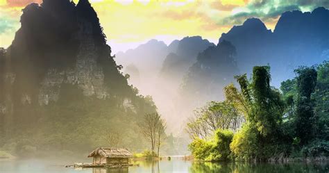 Image result for Nature Motion Graphics