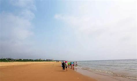 邢台123：邢台七里河沙滩人生百态，天天鱼竿排成排