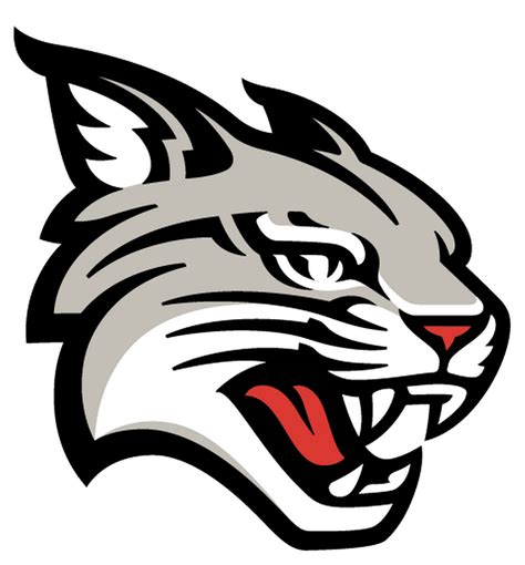 The Wildcat Scoop: An Arizona football and basketball podcast Vector Art Vector Vector