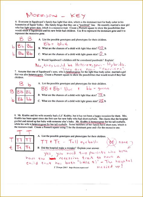 5 Genotype and Phenotype Worksheet Answers | FabTemplatez
