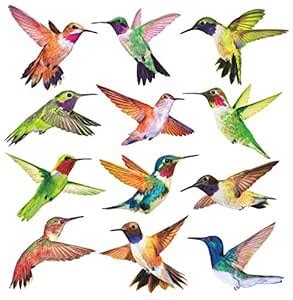 Buy Anti-Collision Window Clings Bird Alert Collision Decals to Prevent ...