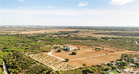 What Serious Investors Ask Before Buying Land (And Why You Should Too)