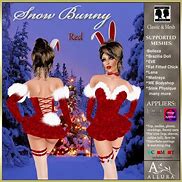 Image result for Snow Bunny Aesthetic