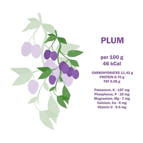 Premium Vector | Vitamins minerals and calorie information about nutrition facts plum fruit ...
