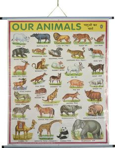 ROLLUP OUR ANIMALS CHART (PIPE MOUNTED) Photographic Paper ...