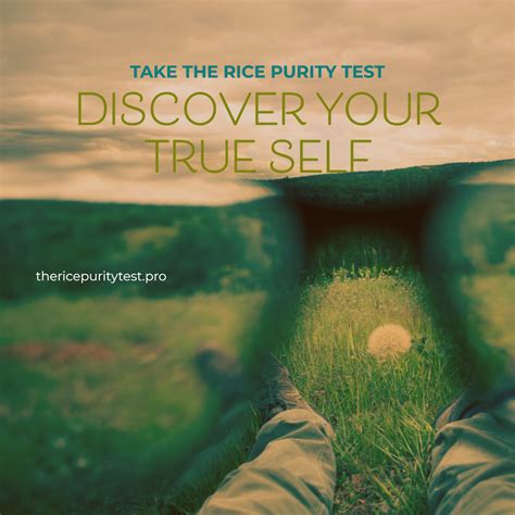 Rice Purity Test Score Meaning 2024 - The Rice Purity Test