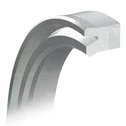 Packing Dedicated for IDI Type Rod Seals | NOK | MISUMI India