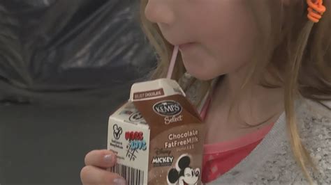 School Chocolate Milk Carton